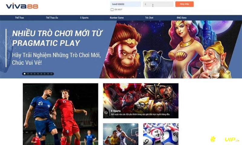 Viva88. net điểm cung cấp trò chơi mới nhất