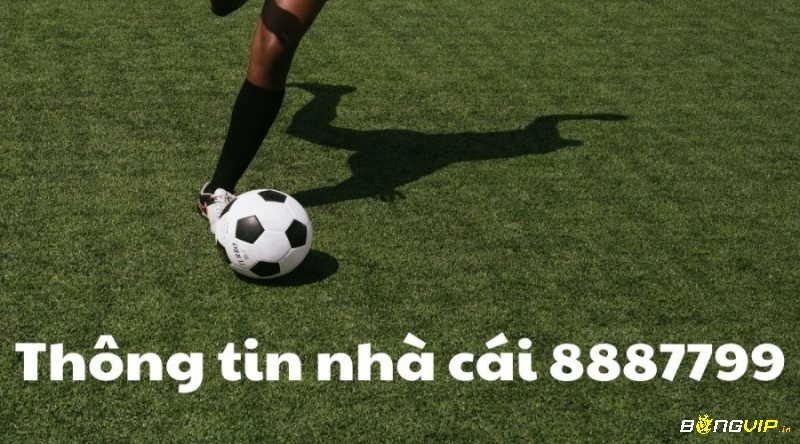 8887799.net – Điểm đến uy tín với nhiều ưu điểm vượt trội