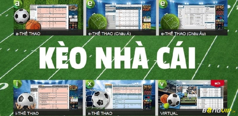 Trên BONGVIP cung cấp đầy đủ tỷ lệ keo nha cai truc tuyen chau a