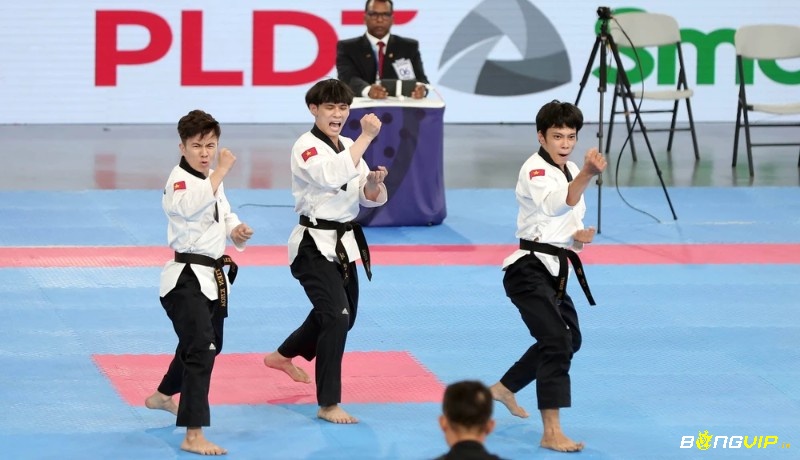 Việt Nam đạt được những dấu ấn tích cực trên bản đồ Taekwondo thế giới