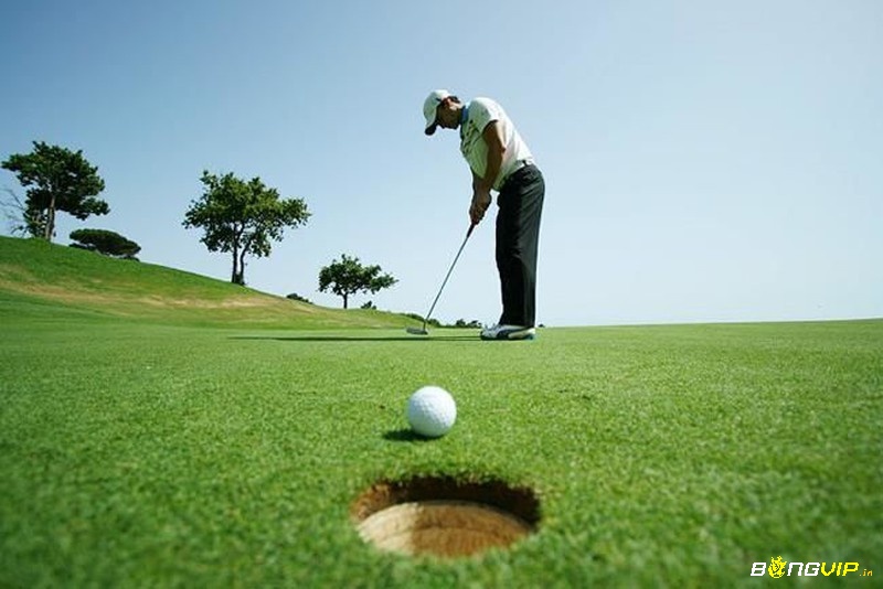 Nắm rõ vai trò của R&A và USGA giúp người chơi áp dụng đúng luật golf quốc tế trong mọi trận đấu.