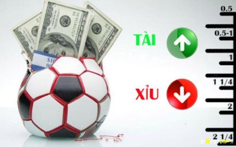 Tâm lý thi đấu trong trận chung kết – Khi cảm xúc quyết định nhịp độ và số bàn thắng của trận