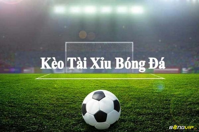 Cách chơi tài xỉu bóng đá đòi hỏi người chơi phải hiểu rõ về luật chơi và các yếu tố ảnh hưởng đến kết quả trận đấu
