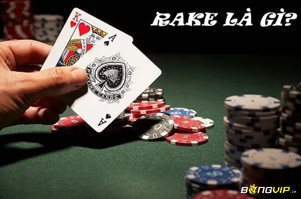 Phí rake poker – ‘lưỡi cào’ thầm lặng trong mỗi ván bài