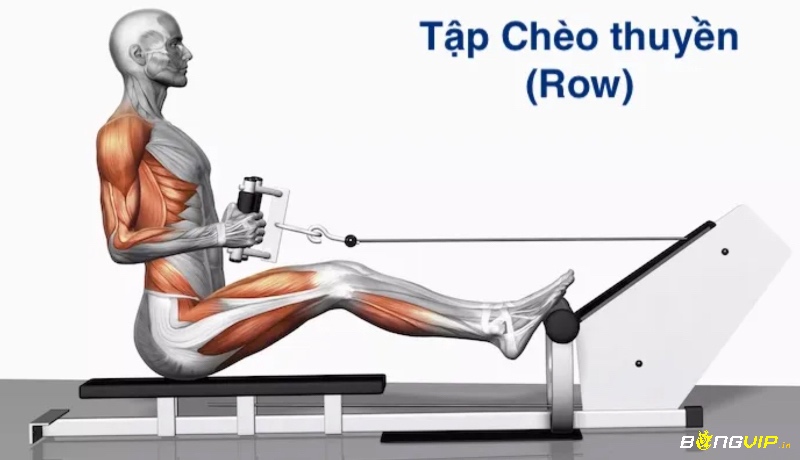 Vận động viên chèo thuyền tập luyện toàn diện với cardio, sức mạnh và các buổi chèo ngoài trời để làm quen thực tế