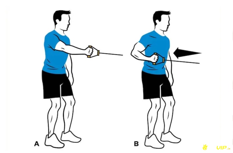 Chèo thuyền đòi hỏi sức bền tim mạch, lực cơ mạnh và khả năng kiểm soát nhịp thở trong cường độ cao