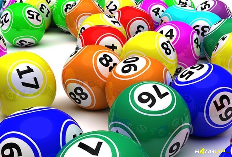 Cùng bongvip khám phá đề về 43 mai đánh con lô gì chuẩn xác 100% nhé