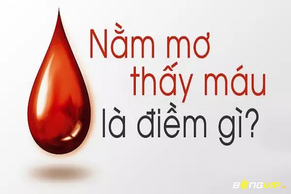 Giải mã giấc mơ thấy máu đỏ là việc tìm hiểu điềm báo may rủi theo quan niệm dân gian, cơ hội để hiểu rõ hơn về trạng thái tâm lý