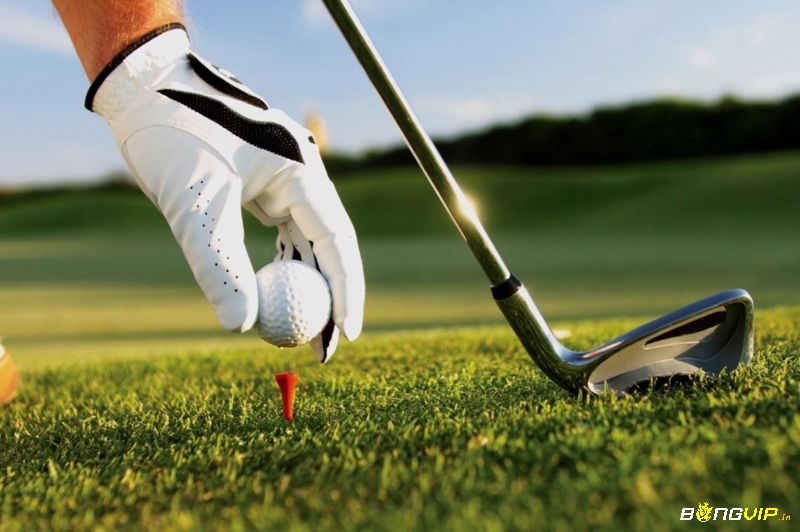 Golf chuyên nghiệp không chỉ là thi đấu mà còn là nghề nghiệp với các hợp đồng tài trợ và yêu cầu kỹ thuật khắt khe.