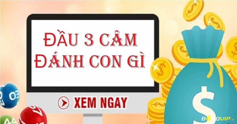 Phân tích chu kỳ đầu số không chỉ là thống kê – đó là cách đọc trước vận may