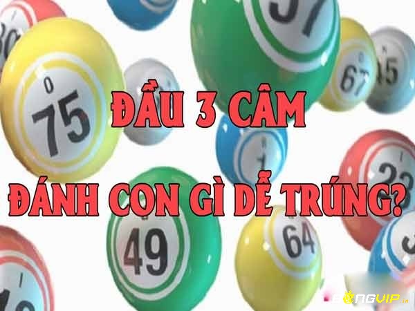 Thống kê chu kỳ từng đầu số giúp xác định chính xác lô câm đầu 3 hôm sau đánh con gì dễ trúng nhất