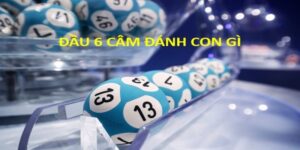 Lô đầu 6 câm hôm sau đánh con gì? Bí quyết nuôi số hiệu quả