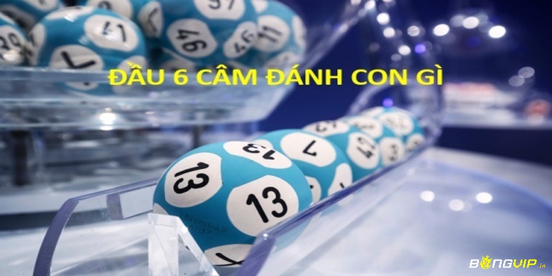 Lô đầu 6 câm là khi không có số nào bắt đầu bằng 6 xuất hiện trong 27 lô tô cuối