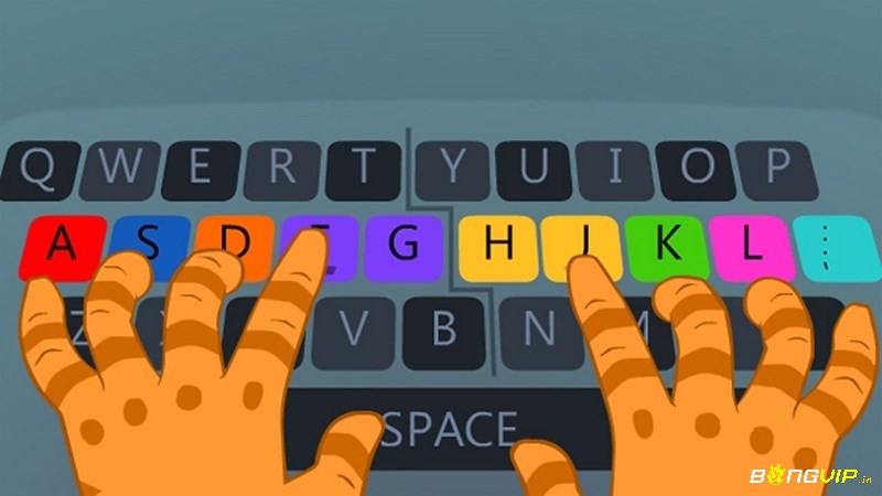 Dance Mat Typing với trò chơi màu sắc và con thú vui nhộn hỗ trợ luyện gõ 10 ngón cho trẻ