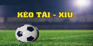 Tài xỉu bóng đá? Bí quyết đặt cược và nhận định chính xác nhất