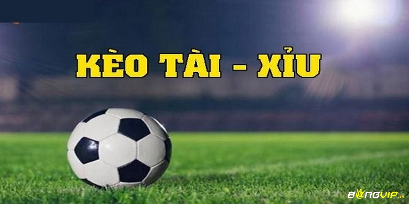 Chơi tài xỉu bóng đá cần nắm nguyên lý cơ bản để có thể tham gia đặt cược hiệu quả