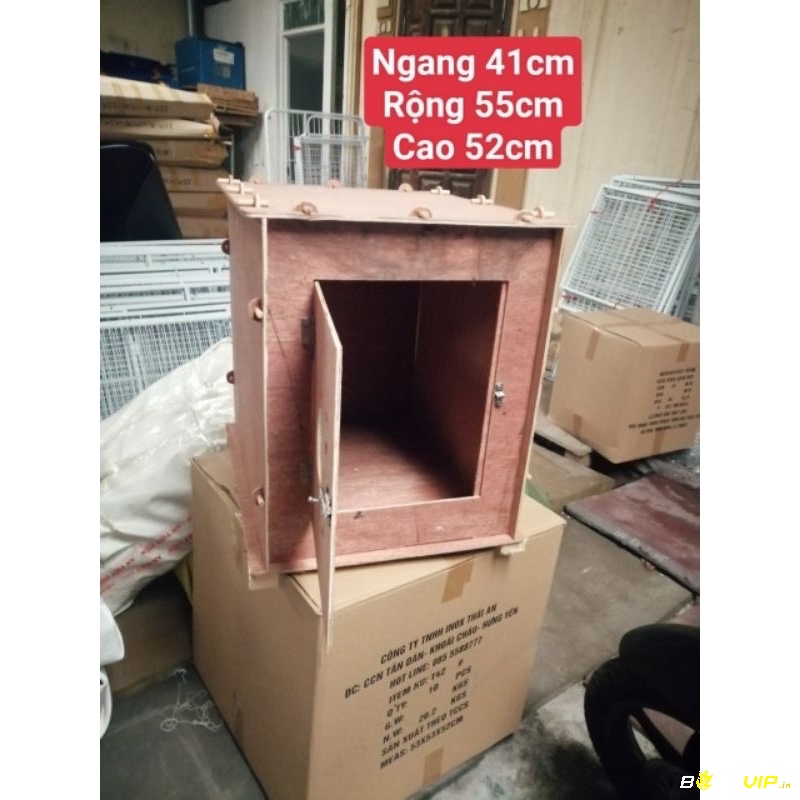 Kích thước phù hợp giúp gà phát triển khỏe mạnh và dễ dàng sinh hoạt