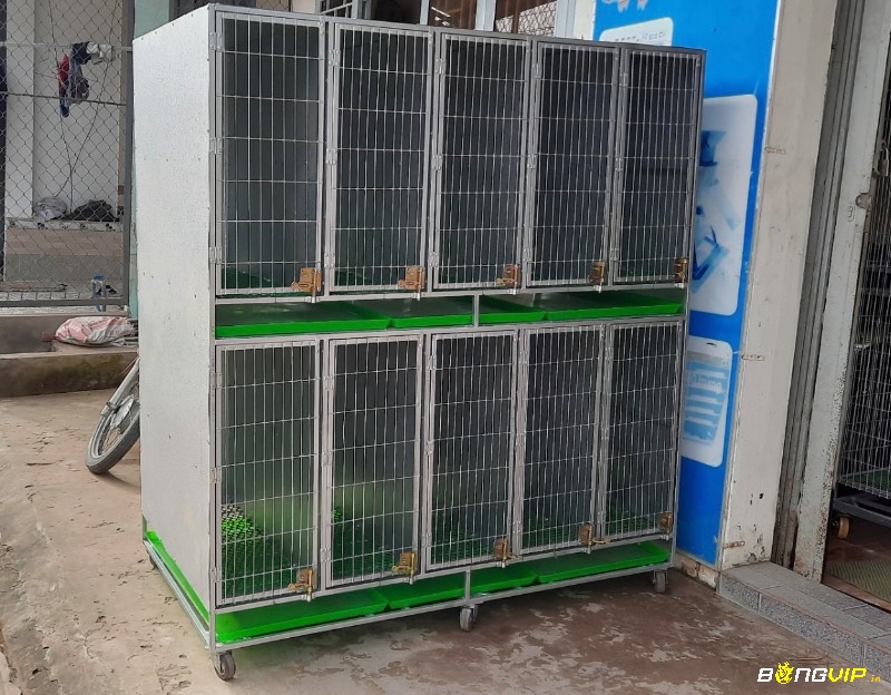 Sử dụng vật liệu phù hợp giúp bảo vệ đàn gà khỏi tác nhân gây bệnh và nâng cao độ bền của chuồng trại