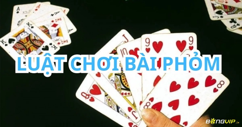 Hiểu rõ các thuật ngữ trong hướng dẫn dạy cách đánh phỏm là nền tảng để nắm vững luật chơi phỏm.