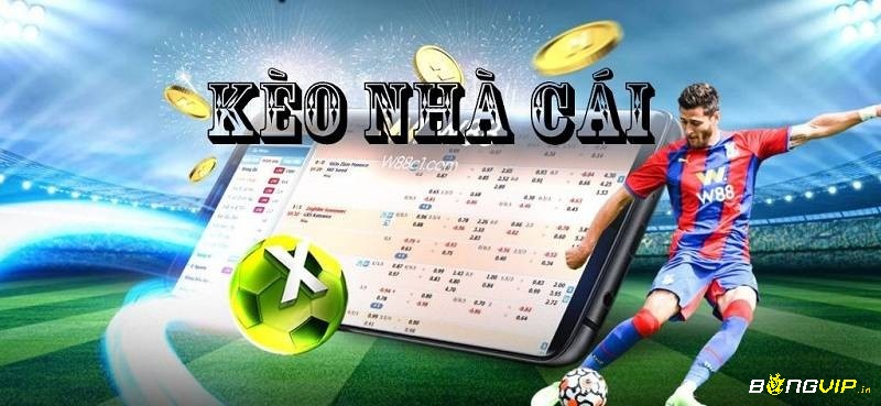 Theo dõi sự thay đổi tỷ lệ kèo hiệp 1 2025 và dòng tiền để nhận diện cơ hội hoặc kèo dụ.