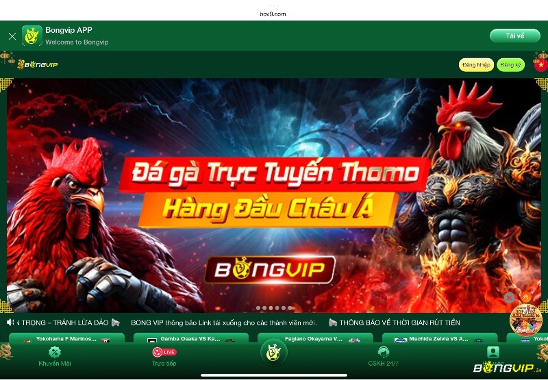 Bắt đầu hành trình săn cá bằng cách tạo tài khoản nhanh chóng và an toàn