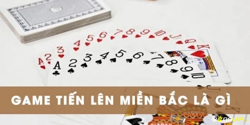 Giải đáp những thắc mắc thường gặp về Tiến Lên Miền Bắc giúp người chơi mới dễ dàng nắm vững luật và tránh sai sót.