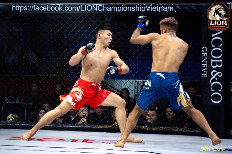 Quản lý tài chính thông minh giúp hạn chế rủi ro trong cá cược MMA 2025