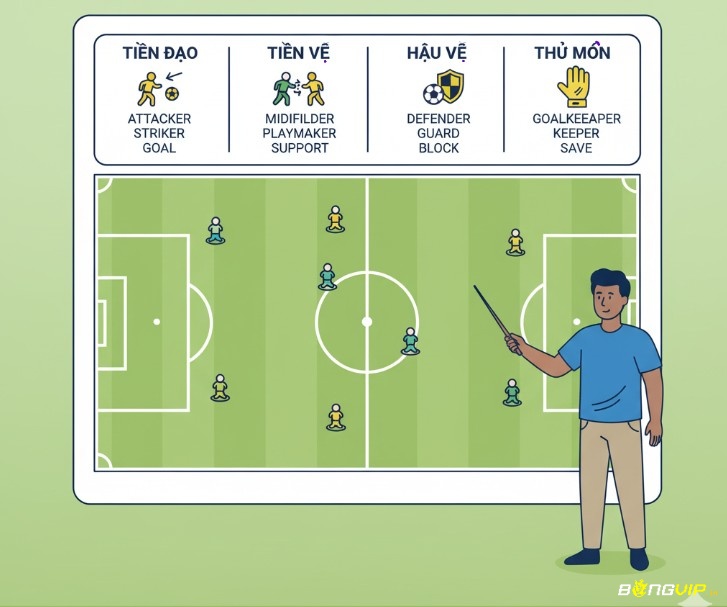 Phân tích các vị trí và vai trò cốt lõi trên sân bóng đá, với sơ đồ sân và các vị trí tấn công, tiền vệ, hậu vệ, thủ môn