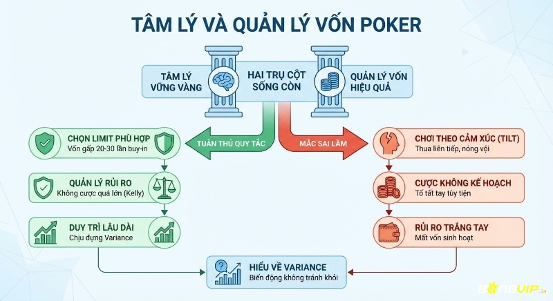 Hướng dẫn quản lý vốn và tâm lý vững vàng trong poker theo luật chơi Poker cơ bản cho người mới