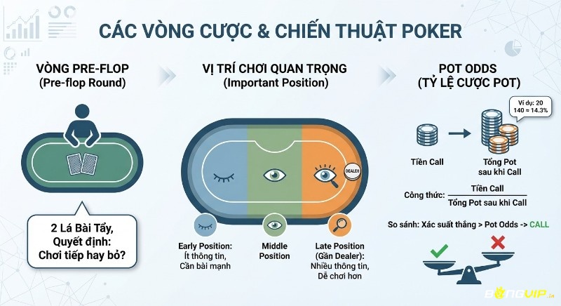 Sơ đồ hướng dẫn chiến thuật Poker: Từ vòng Pre-flop, vị trí chơi quan trọng đến tính toán Pot Odds để Call hoặc Fold