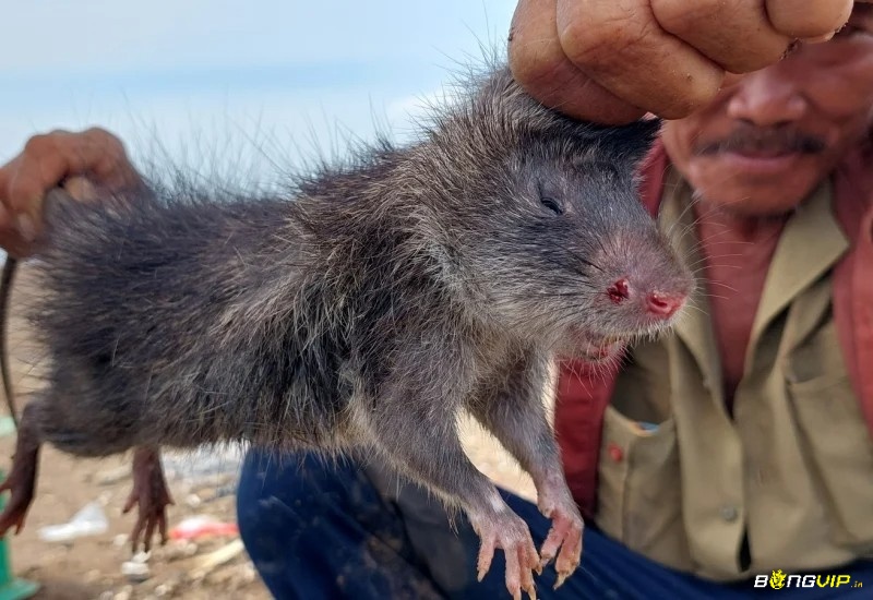 Giấc mơ khuyên bạn nên chấp nhận quá khứ để giảm bớt lo âu trong hiện tại