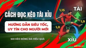 Cách đọc kèo tài xỉu là gì? Hướng dẫn phân tích O/U chuẩn xác